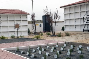 Miguel Angel Capapé Garro-29 de octubre de 2014-18