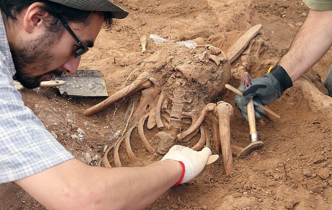 fichero_62364_20111005