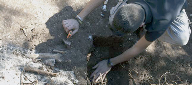 2011-12-17_IMG_2011-12-17_01-40-52_17lo38afot1