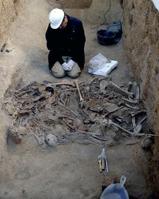 1328102346176gerenadetalledn