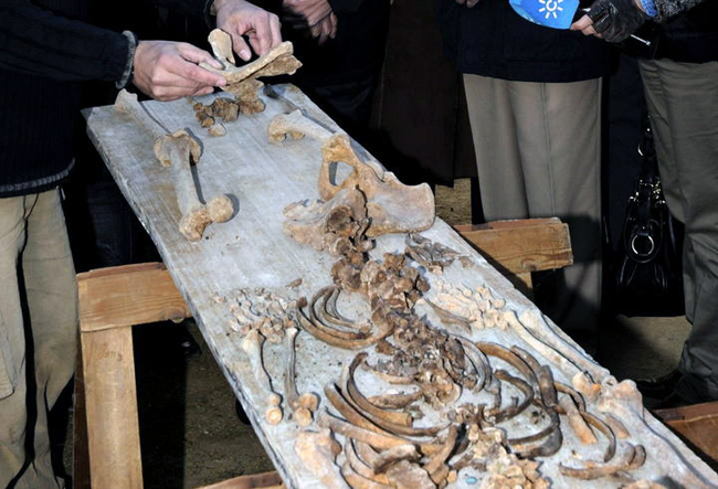 LOCALIZAN A UNA DE LAS "17 ROSAS" CON DOS DISPAROS EN LA NUCA