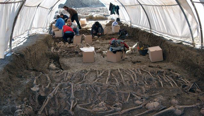 2012-05-02_IMG_2012-05-02_22-22-22_fosa