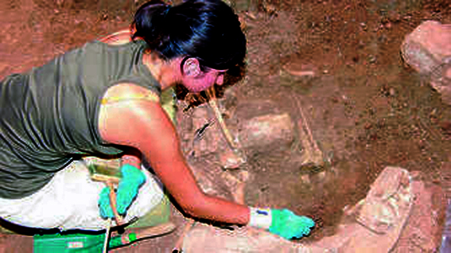 0001166093_560x560_jpg000