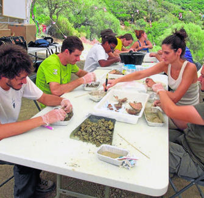 0001167994_560x560_jpg000