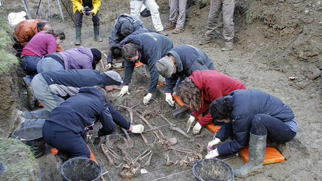 _mg_5899_jpg_20121111114905_1