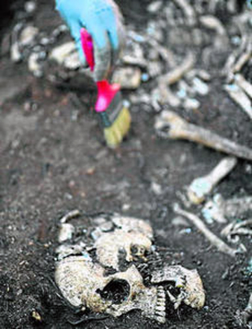 0001291013_230x230_jpg000