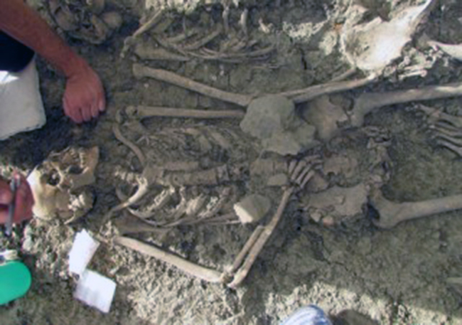 restoselmarrufojere12_detalle