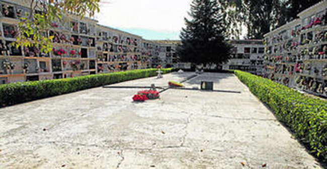 0001362419_560x560_jpg000