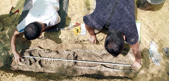 fichero_90303_20130712