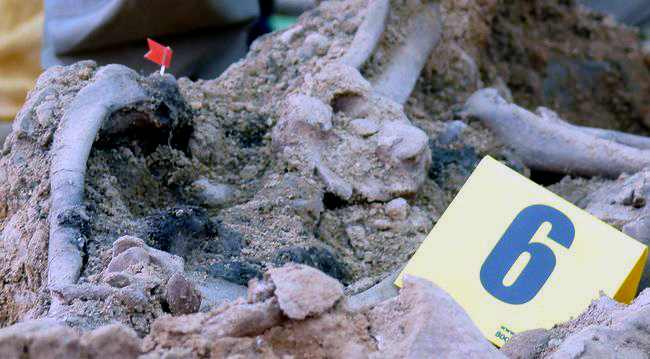 fichero_91503_20130810