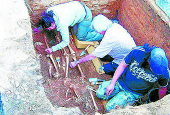 0001467288_560x560_jpg000