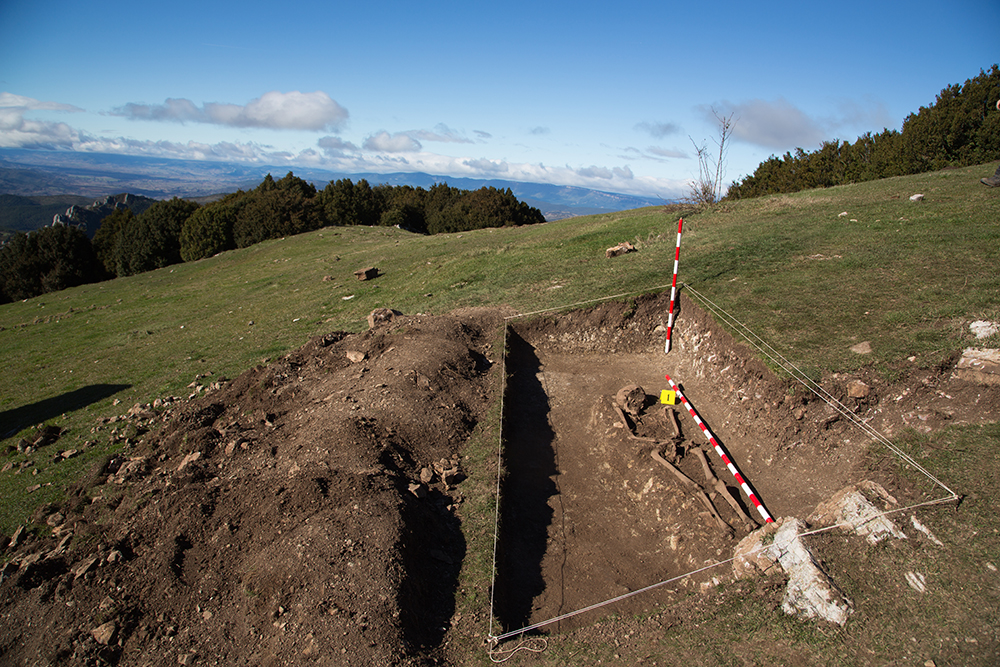M. A. Capapé - 242 - 12 de noviembre de 2013