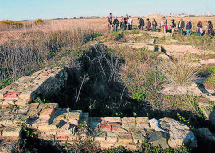 0001496664_560x560_jpg000