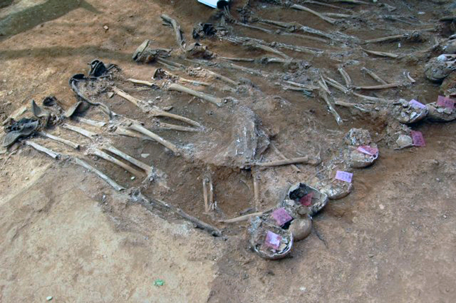 phoca_thumb_l_dsc_0492