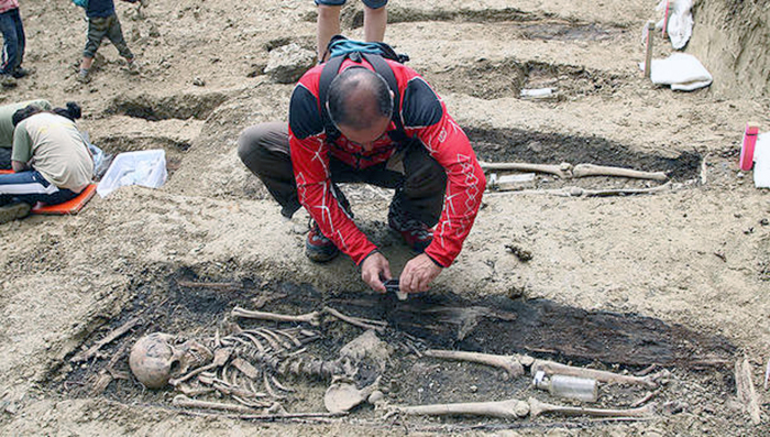 patl5237_jpg_20100613164245_9278_1