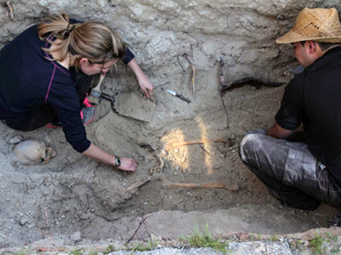 1397039638338fosa-detalledn