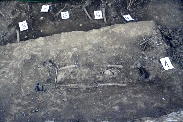 2014_5_10_w6VrkziJhZ1TmIJsVxtDD6