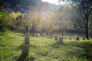 Miguel Angel Capapé Garro-02 de octubre de 2014-13