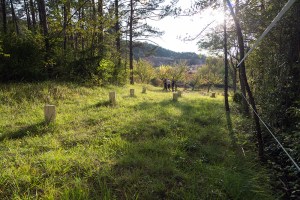 Miguel Angel Capapé Garro-02 de octubre de 2014-14