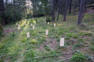 Miguel Angel Capapé Garro-02 de octubre de 2014-47