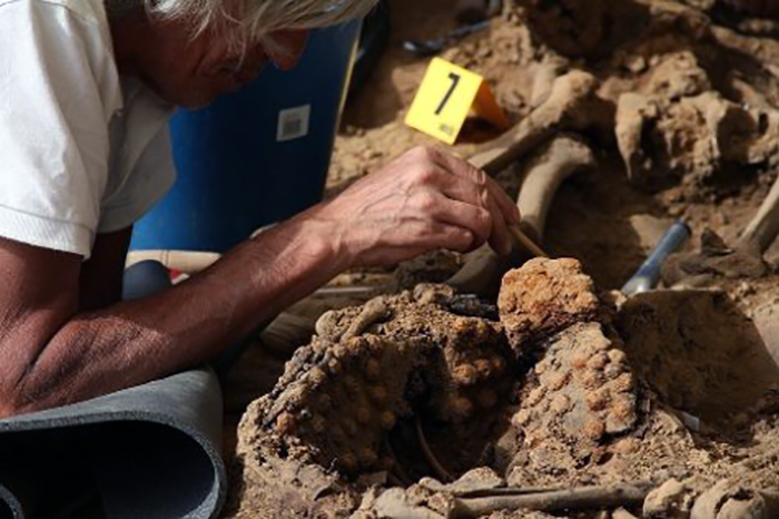 1397469172901armh1dn