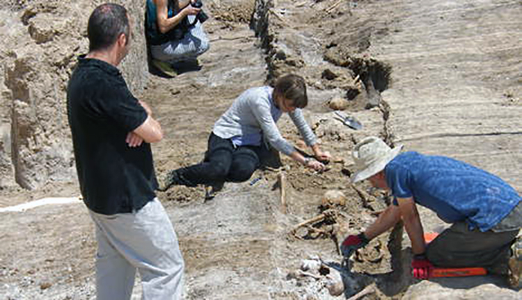 _12966250113632cfe5a95o_63c35ae7