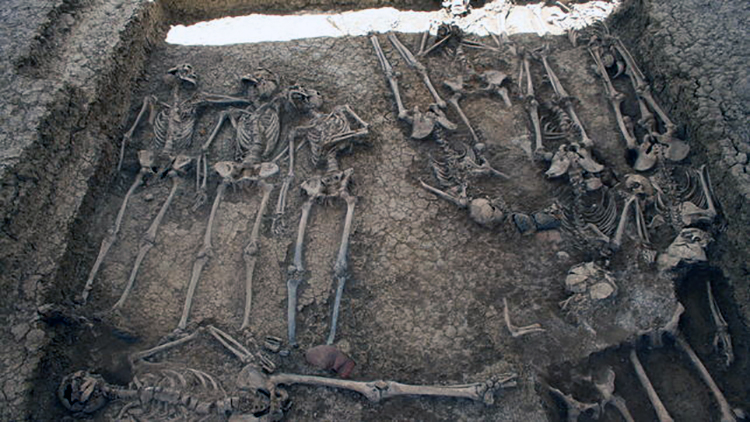 Fosa-cementerio-San-Rafael-Malaga_EDIIMA20140110_0407_4