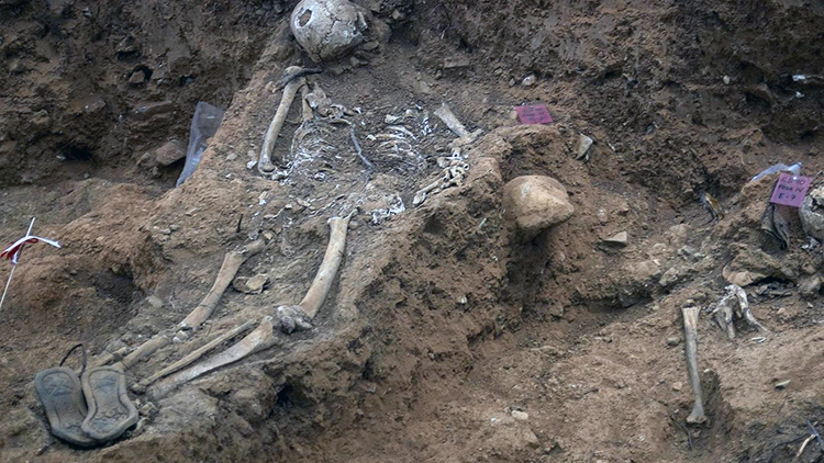 d5280bcf3ffed115f2807e48be5ae0de