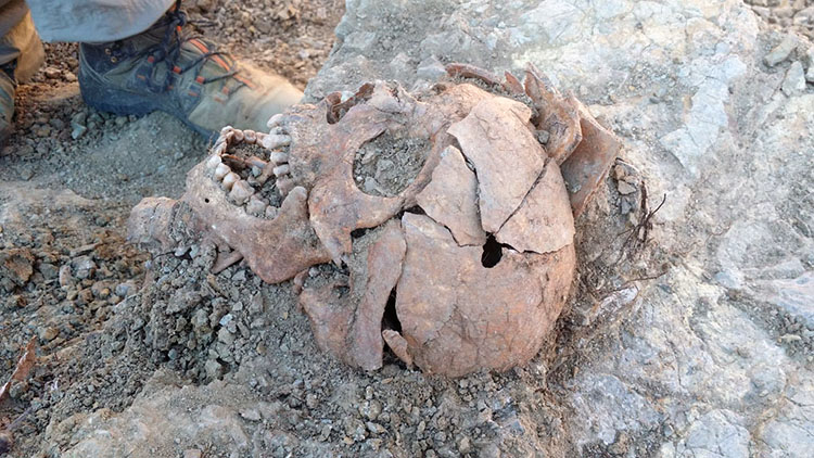 EXHUMACIÓN-Velilla-de-Jiloca-ARICO-3-rec