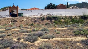 Miguel Angel Capapé Garro-21 de julio de 2015-51