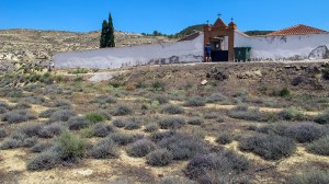 Miguel Angel Capapé Garro-21 de julio de 2015-52