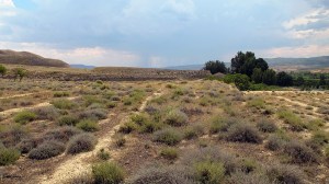 Miguel Angel Capapé Garro-21 de julio de 2015-54