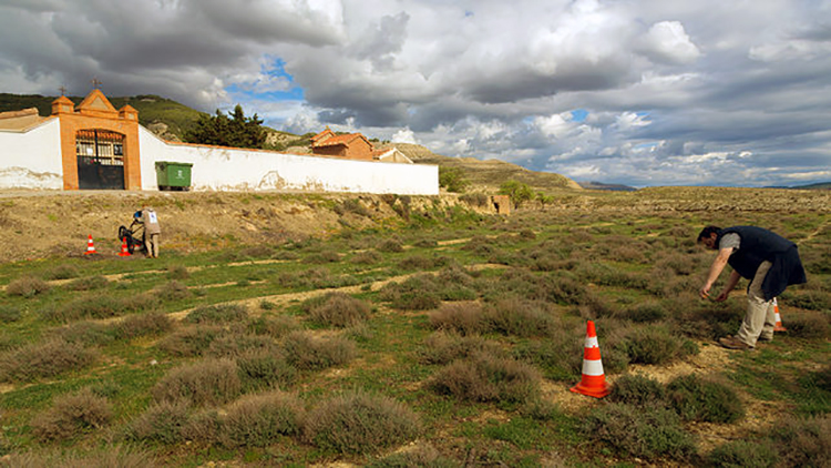 aparecieron-restos-personas-Foto-Arico_EDIIMA20150731_0834_4