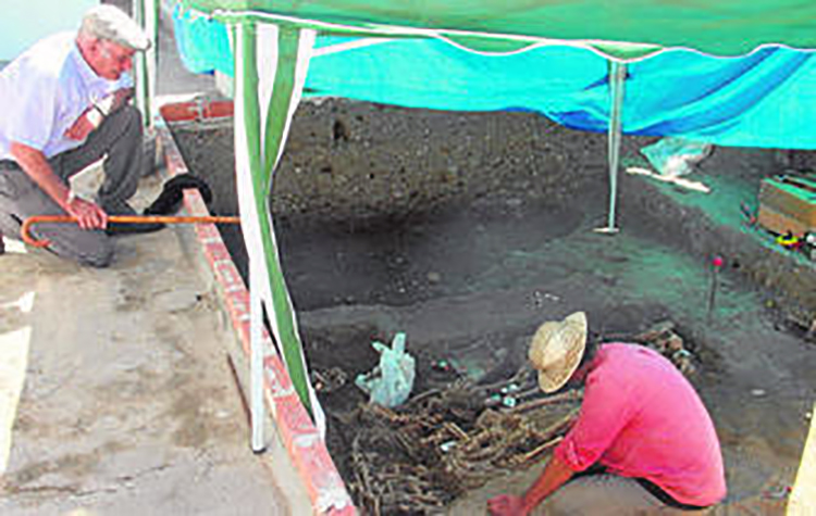 0001947420_560x560_jpg000 (1)