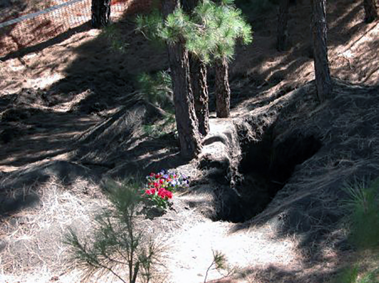 2009_05_21_BfFyhCegxt_lg