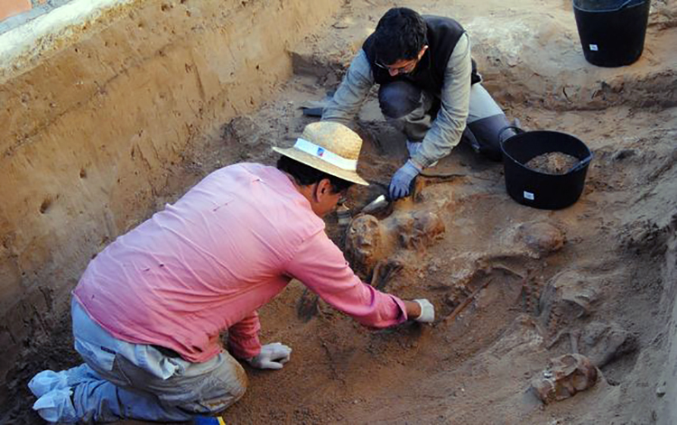 exhumacion-Puerto-Real-permitiran-franquismo_EDIIMA20151203_0541_18