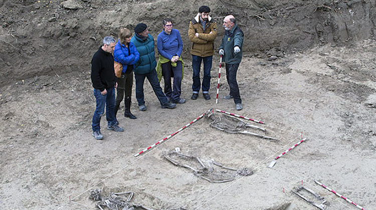 _pat3153.jpg_20151207142452_845_1