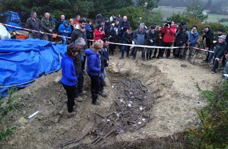 IMG-20160131-WA0003-533x350