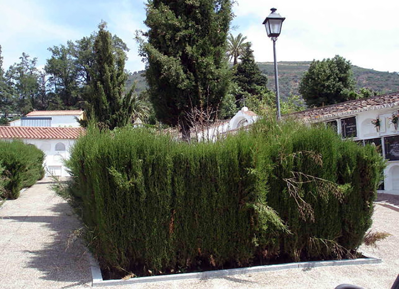 fosa-cubierta-hierbajos-planes-abrirla_EDIIMA20160327_0241_18