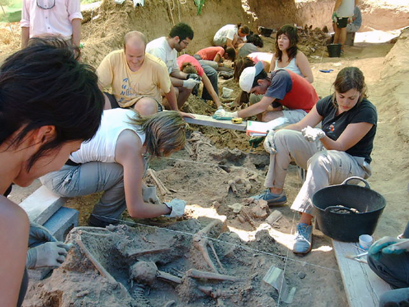 Campo-trabajo-Llerena-ARMEx_EDIIMA20160415_0718_5