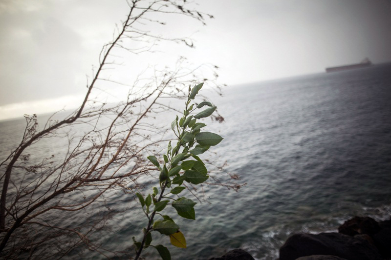 AG - MAYORES SAN ANDRES - 10.JPG