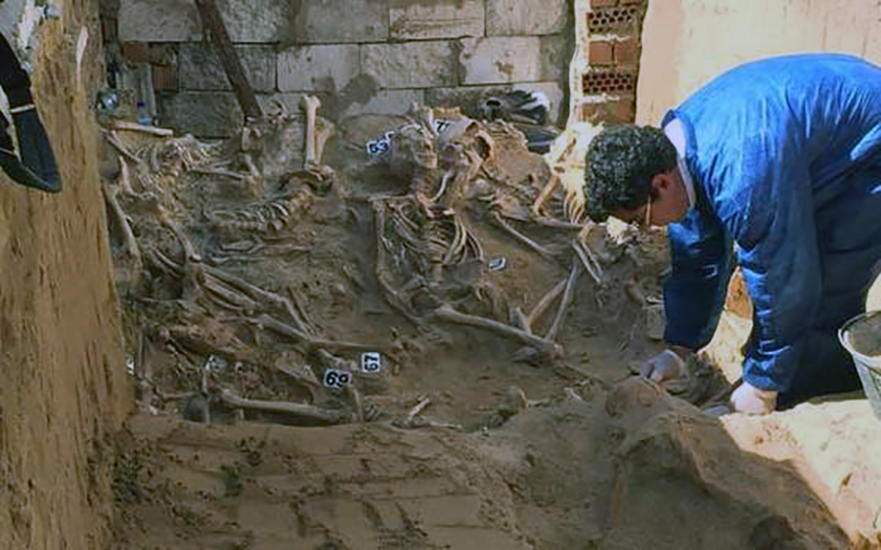 0002032627_560x560_jpg000