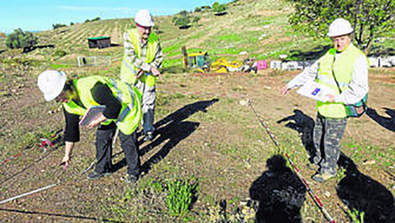 0002113257_560x560_jpg000