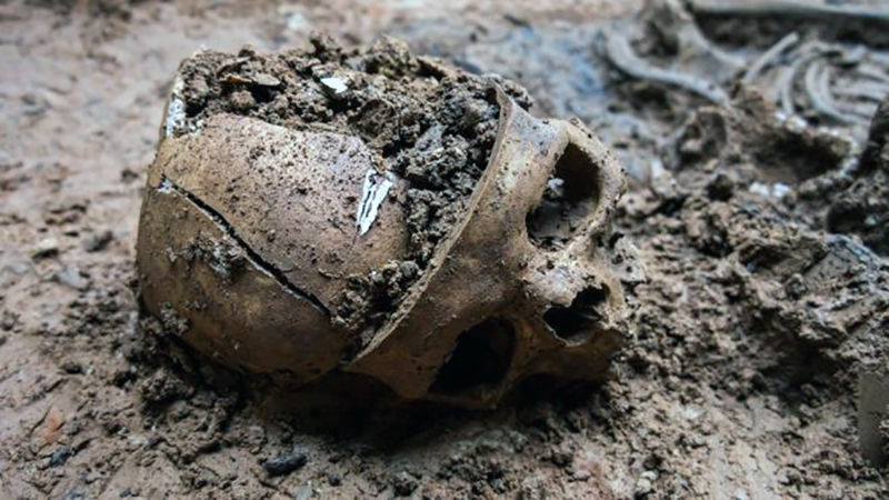 _90400124_22863612623_628c5971c6_o