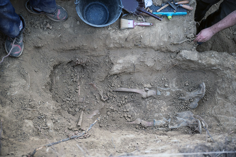 sExhumación-en-Fuencalderas-Foto-Pablo-Ibáñez-AraInfo-5