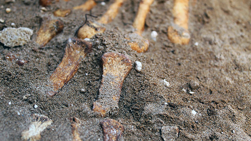 Restos-Puerto-JUAN-MIGUEL-BAQUERO_EDIIMA20160615_0139_20