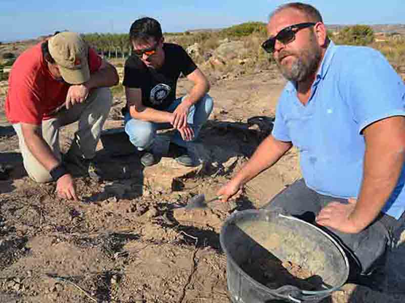 caspe-excavacion-11-10-2016