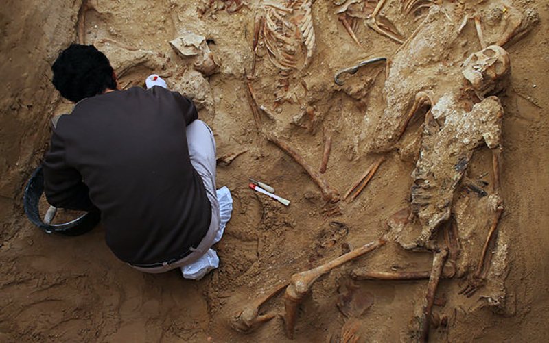 trabajo-puerto-juan-miguel-baquero_ediima20160122_0698_5